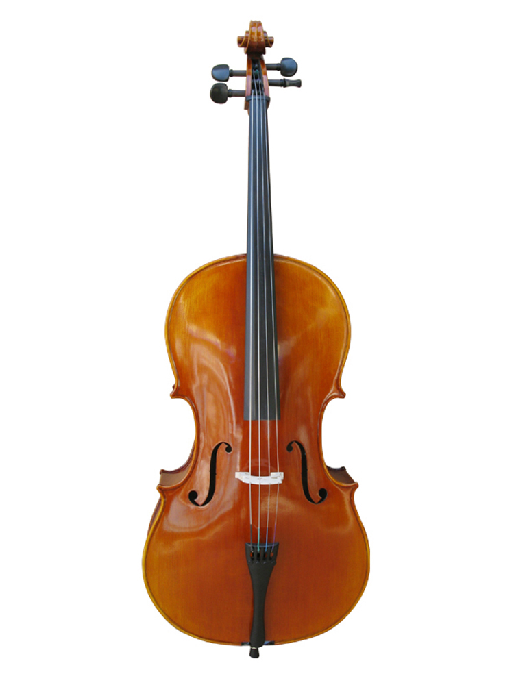 Chinese Violin & Cello supplier | Taixing Jinying Musical